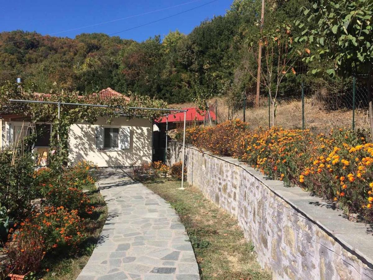 Guesthouse "Athina" Elliniko  Luaran gambar